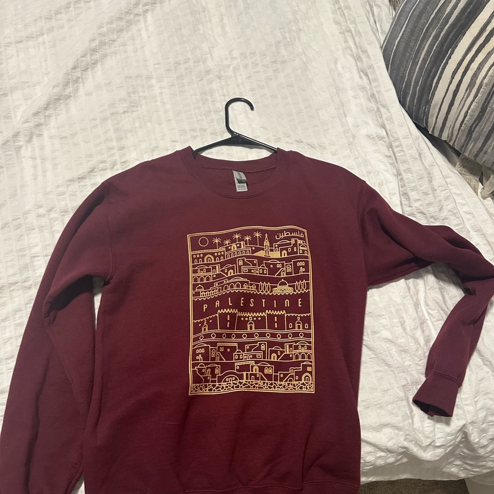 Palestine sweater